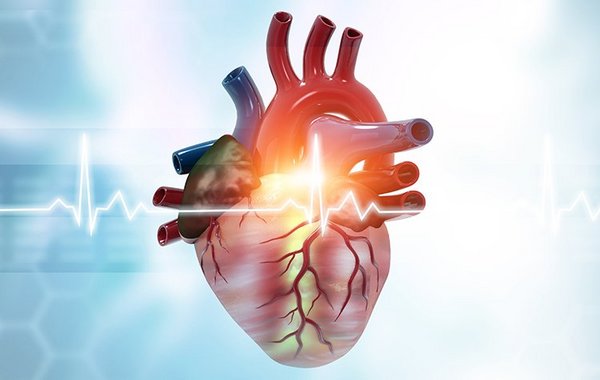 Herzklappenfehler werden oft erst spät erkannt, da sie sich schleichend entwickeln können