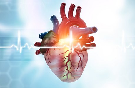 Herzklappenfehler werden oft erst spät erkannt, da sie sich schleichend entwickeln können