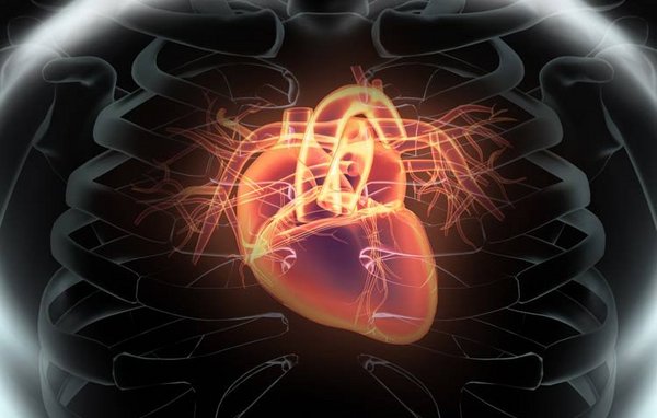 Herzklappenerkrankungen – neue minimalinvasive Therapien